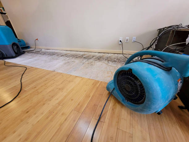 Professional Structural Drying technician working in De Soto, IA